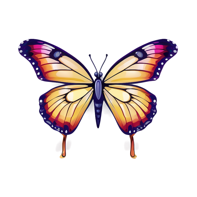 a colorful butterfly on a white background