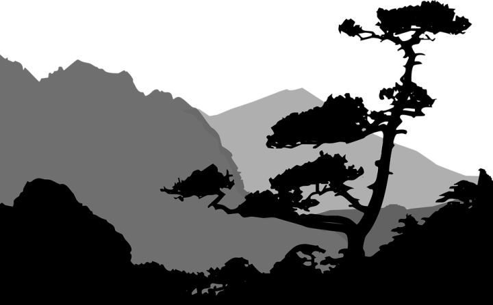 a black and white silhouette of a tree in the mountains