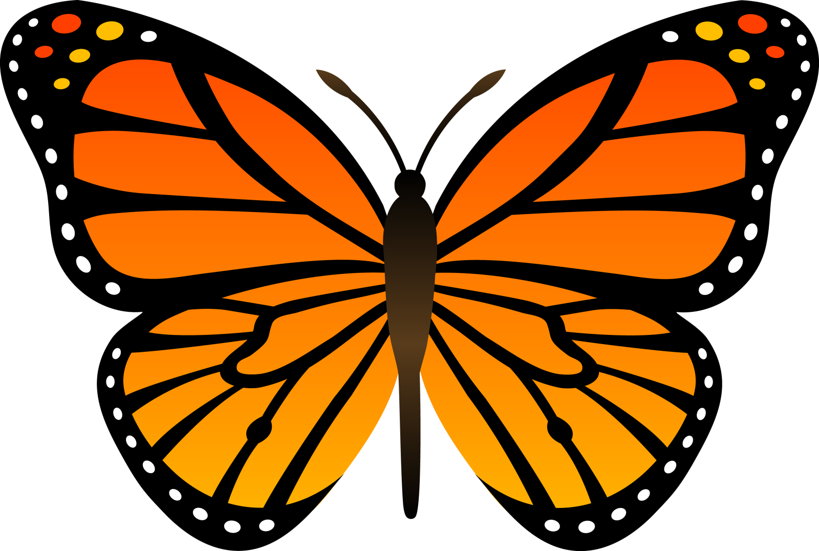 a butterfly clipart
