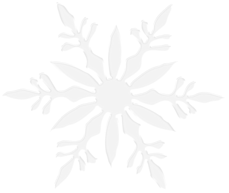 a white snowflorer on a gray background