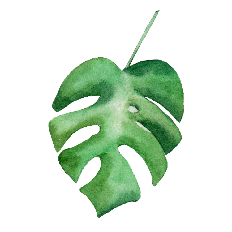 a watercolor painting of a green leaf