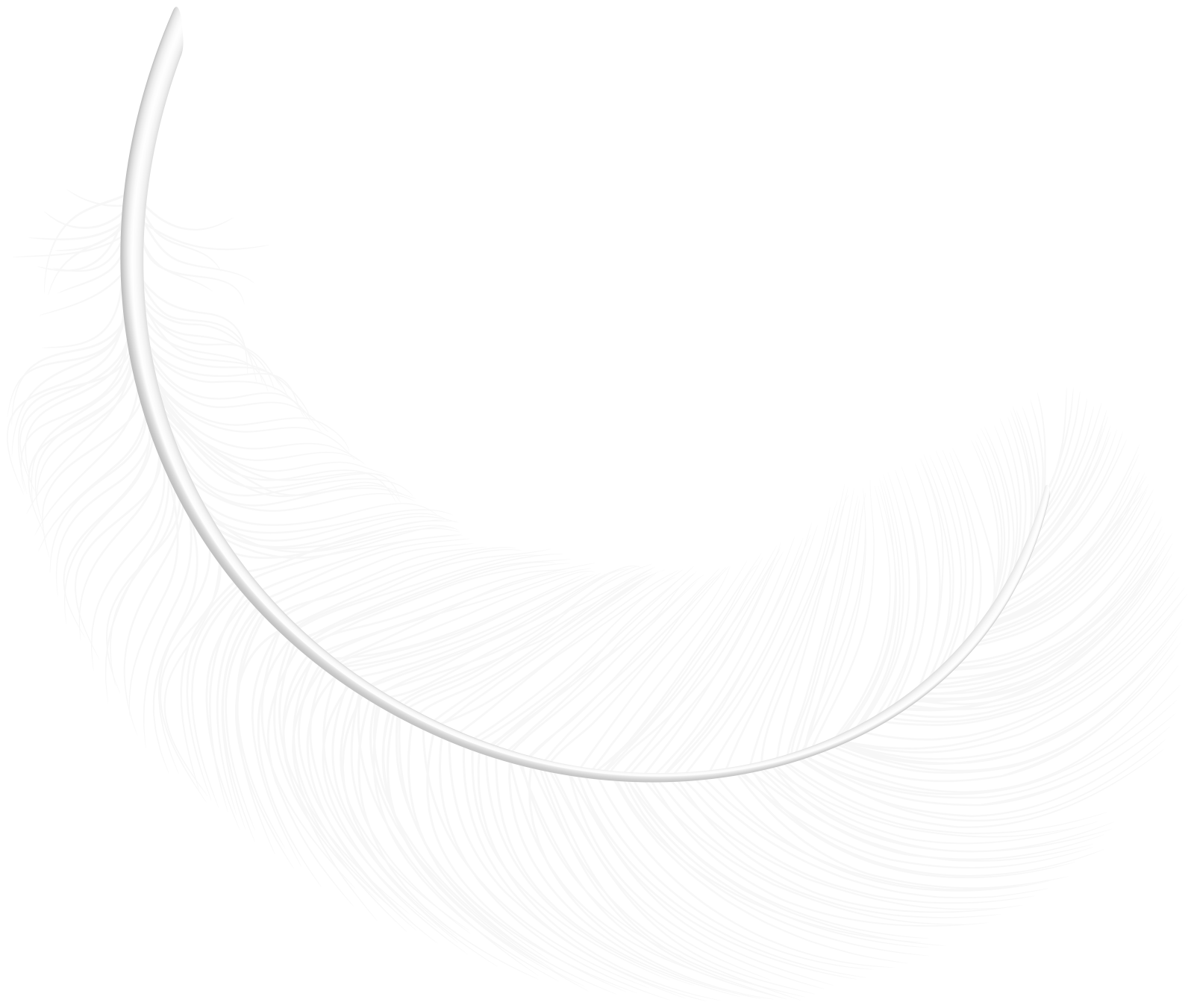 a white feather is shown in the shape of a circle