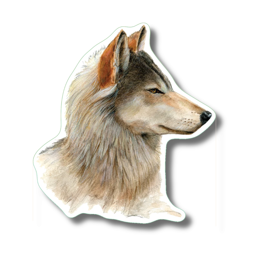 a drawing of a wolf's head