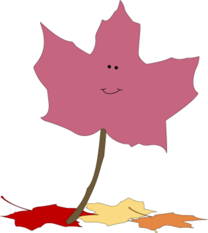 a leaf with a smiley face on it