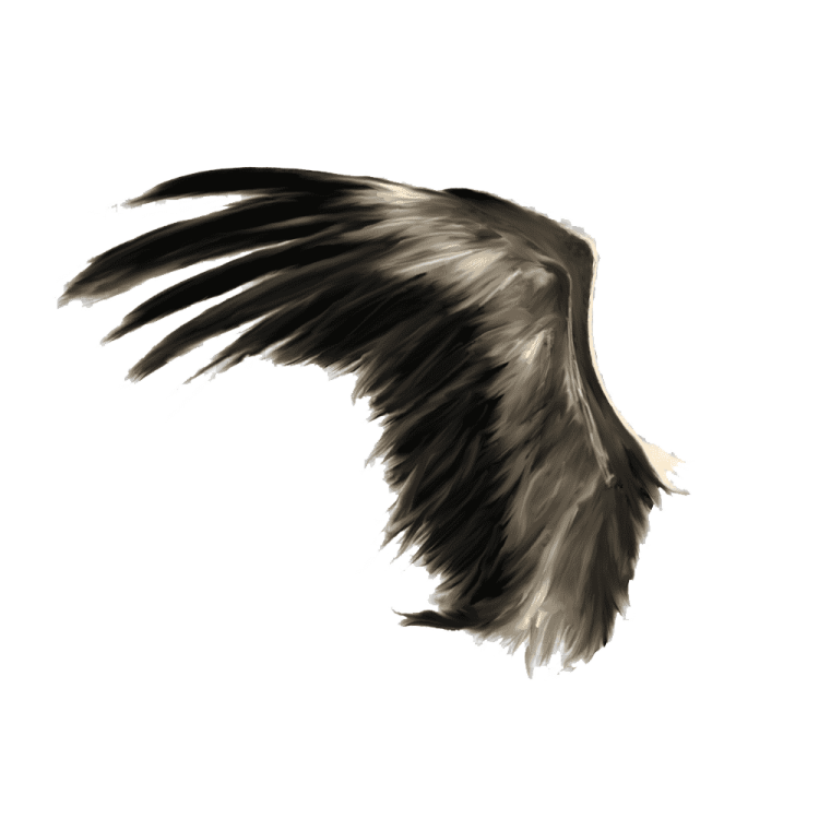 a black and white drawing of an eagle