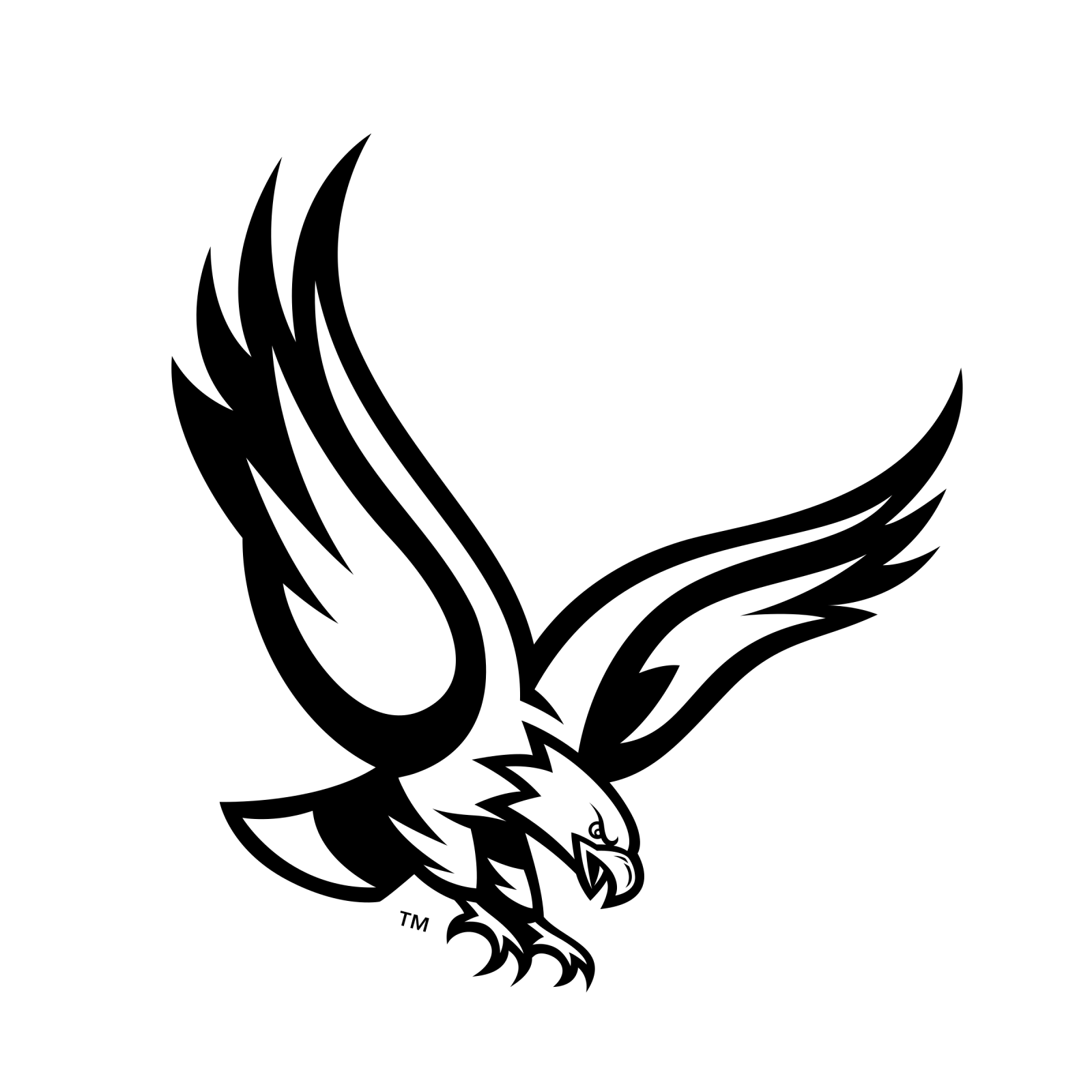 a black and white image of an eagle
