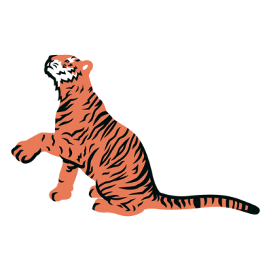 a tiger sitting on its hinds