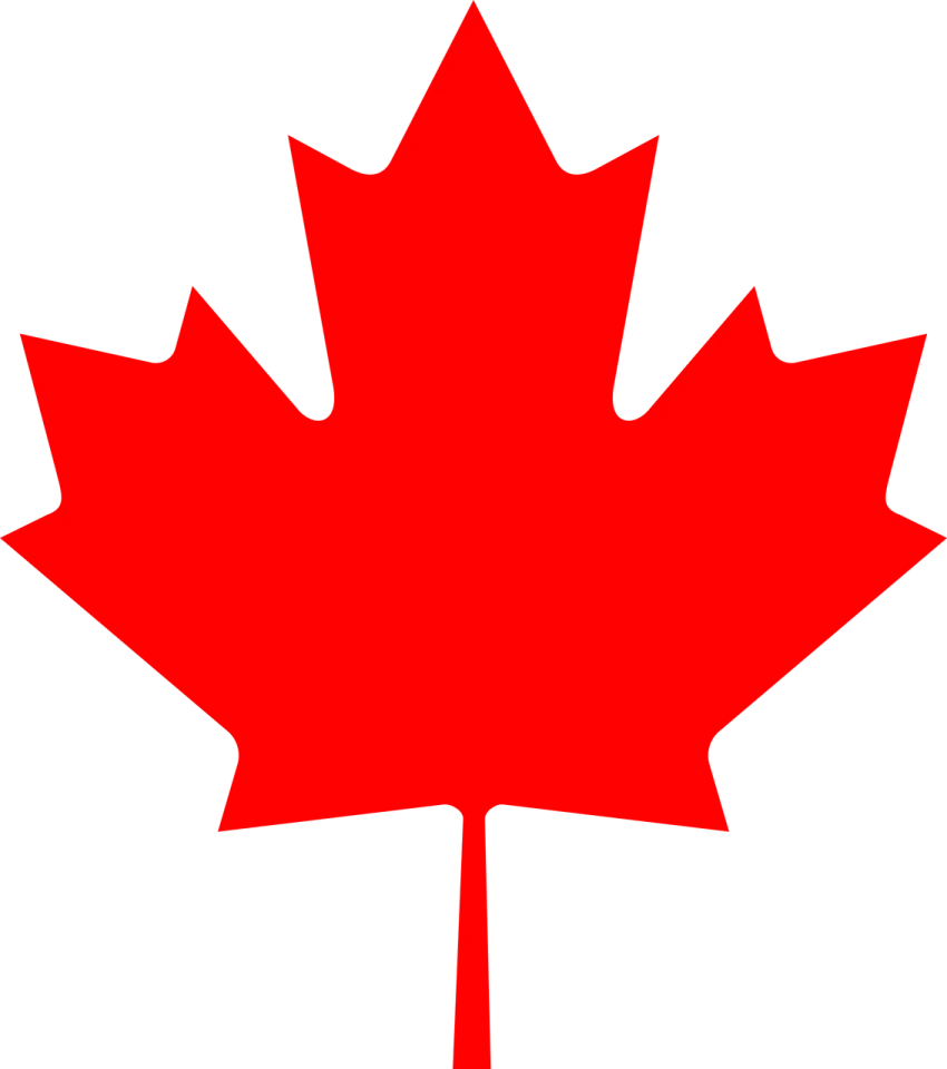 a red maple leaf