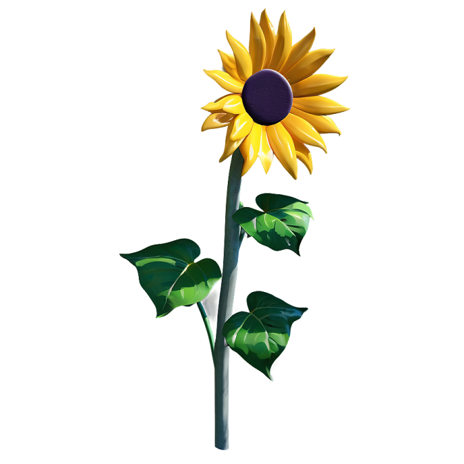 a yellow sunflower on a white background