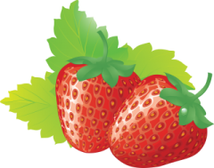 two strawberries on a white background