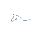 a drawing of a horse's head
