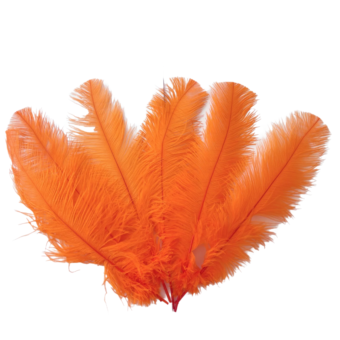 an orange feather on a white background