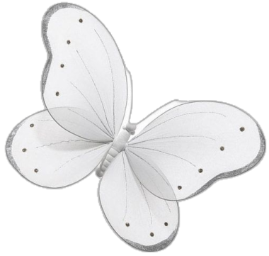 an image of a white butterfly