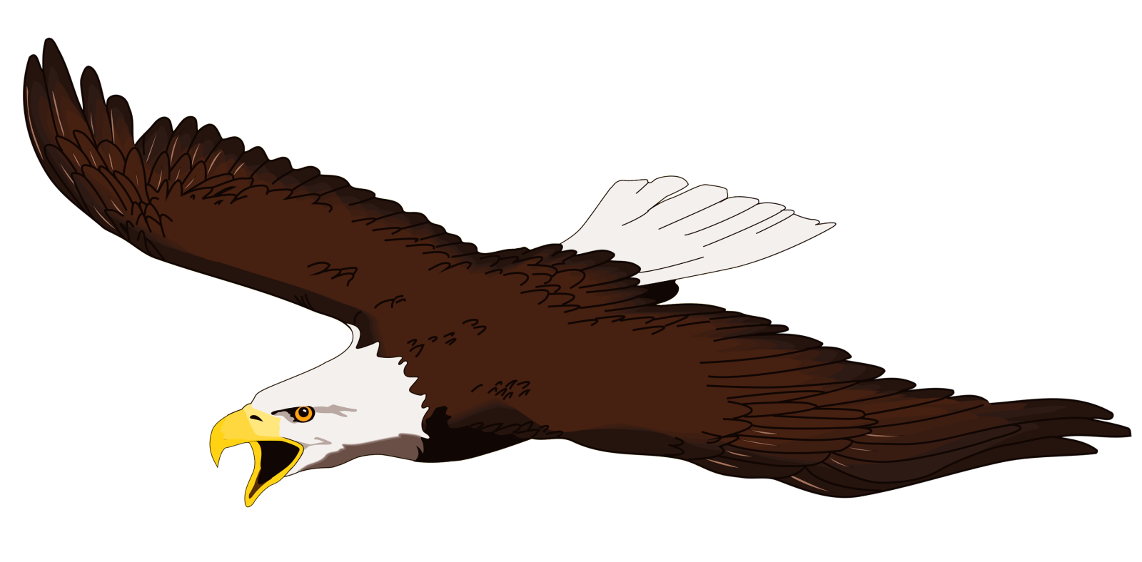 an eagle flying in the air