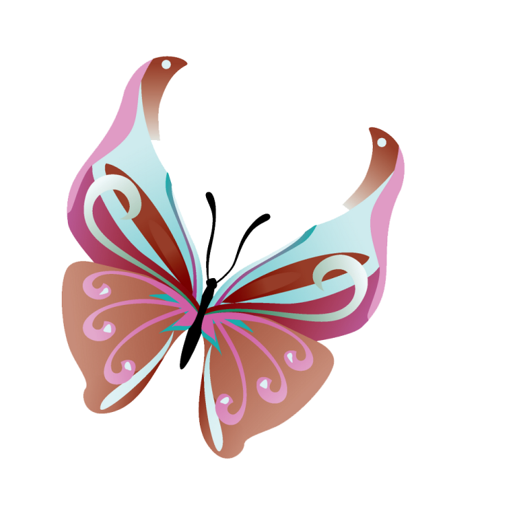 a colorful butterfly on a white background
