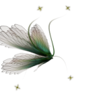 a white flower with green leaves and stars