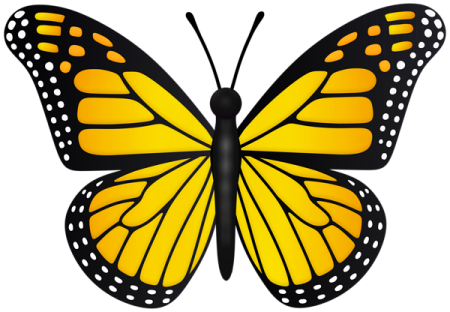 a yellow butterfly