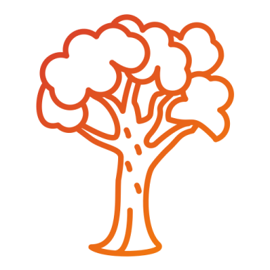 an orange tree with a white background