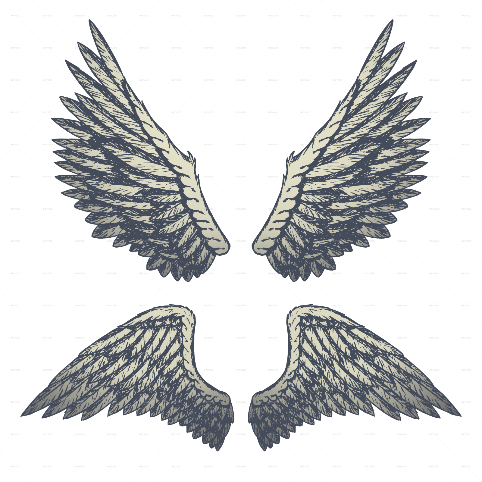 a pair of wings on white background