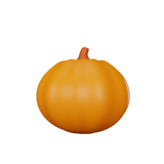 an orange pumpkin on a white background