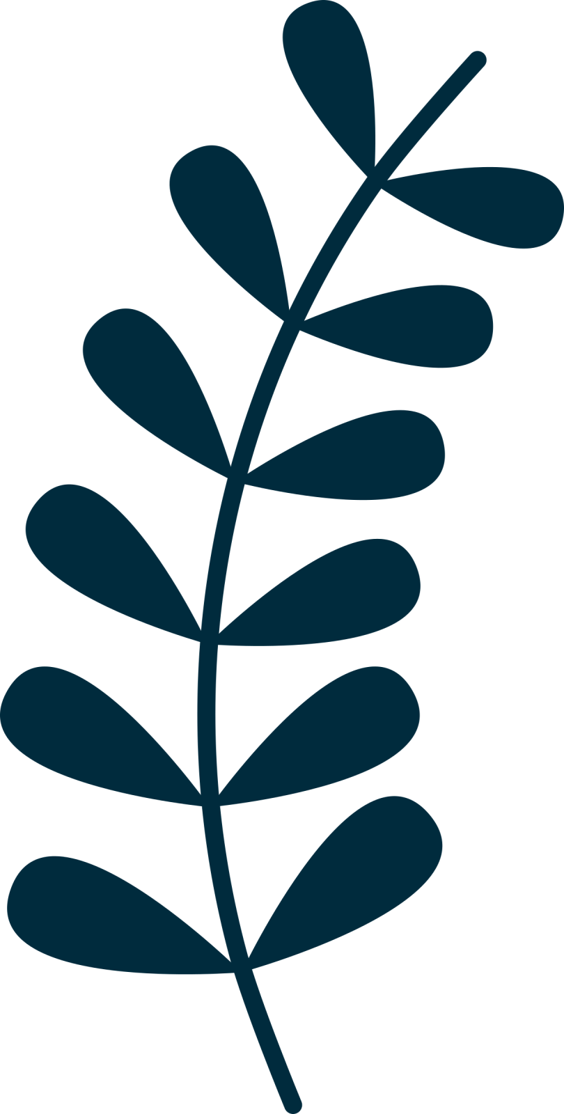 a black and white silhouette of a leaf