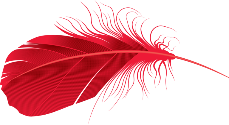 a red feather on white background