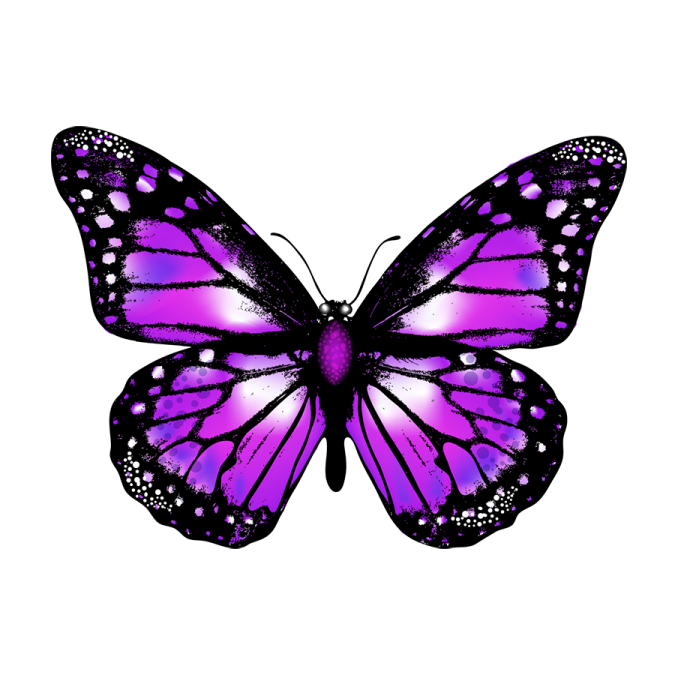 a purple butterfly on a white background