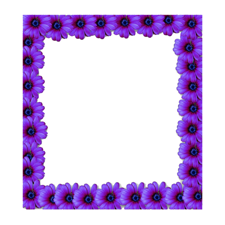 a purple flower frame on a white background