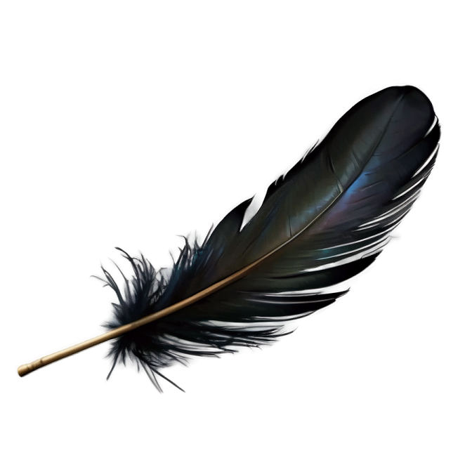 a black feather on a white background