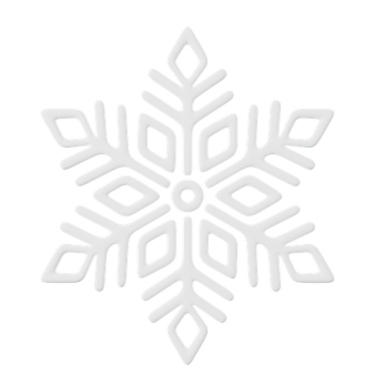a white snowflake with a black outline on it