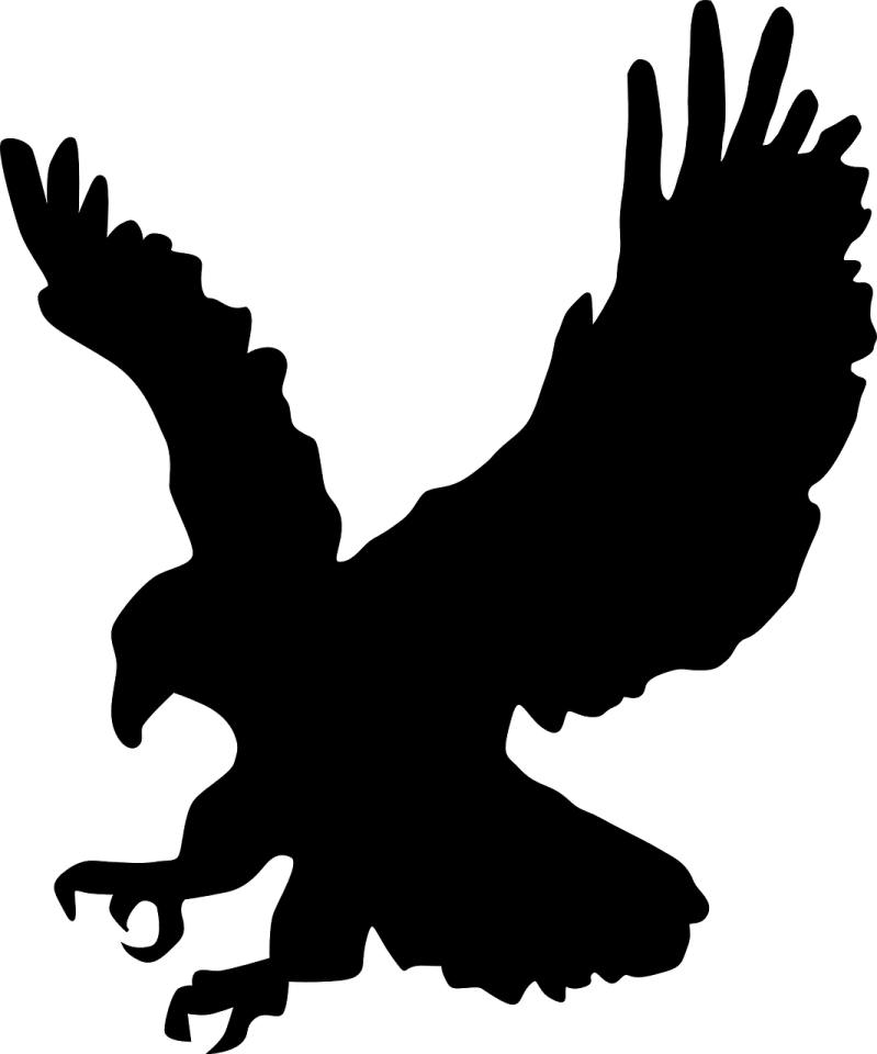 an eagle silhouetted on a white background