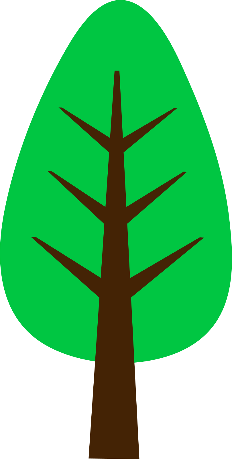 a green tree with brown branches