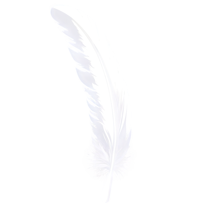 white feather on a white background