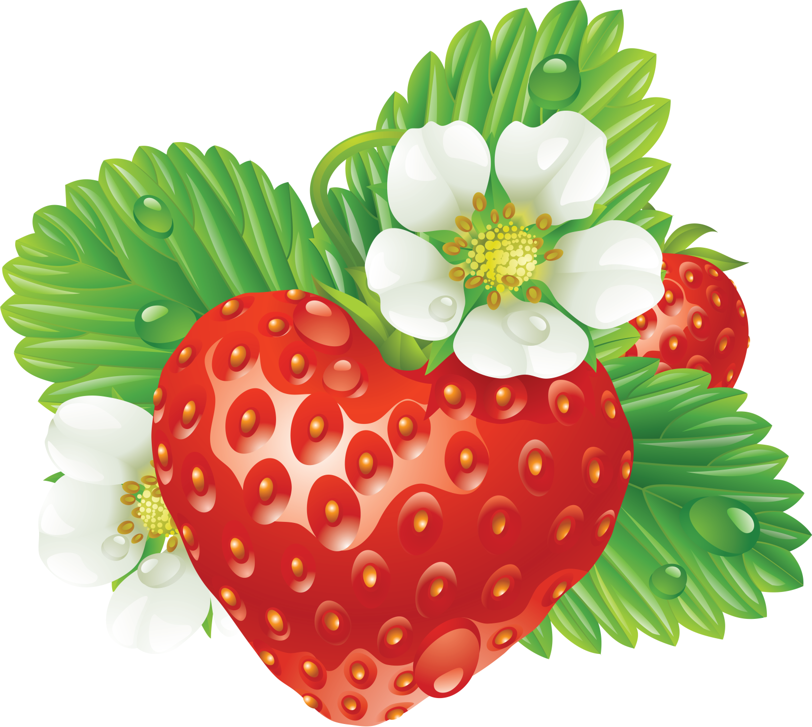 a strawberry with white flowers and leaves