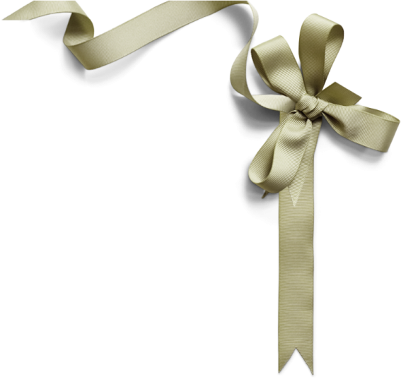 a ribbon with a bow on it