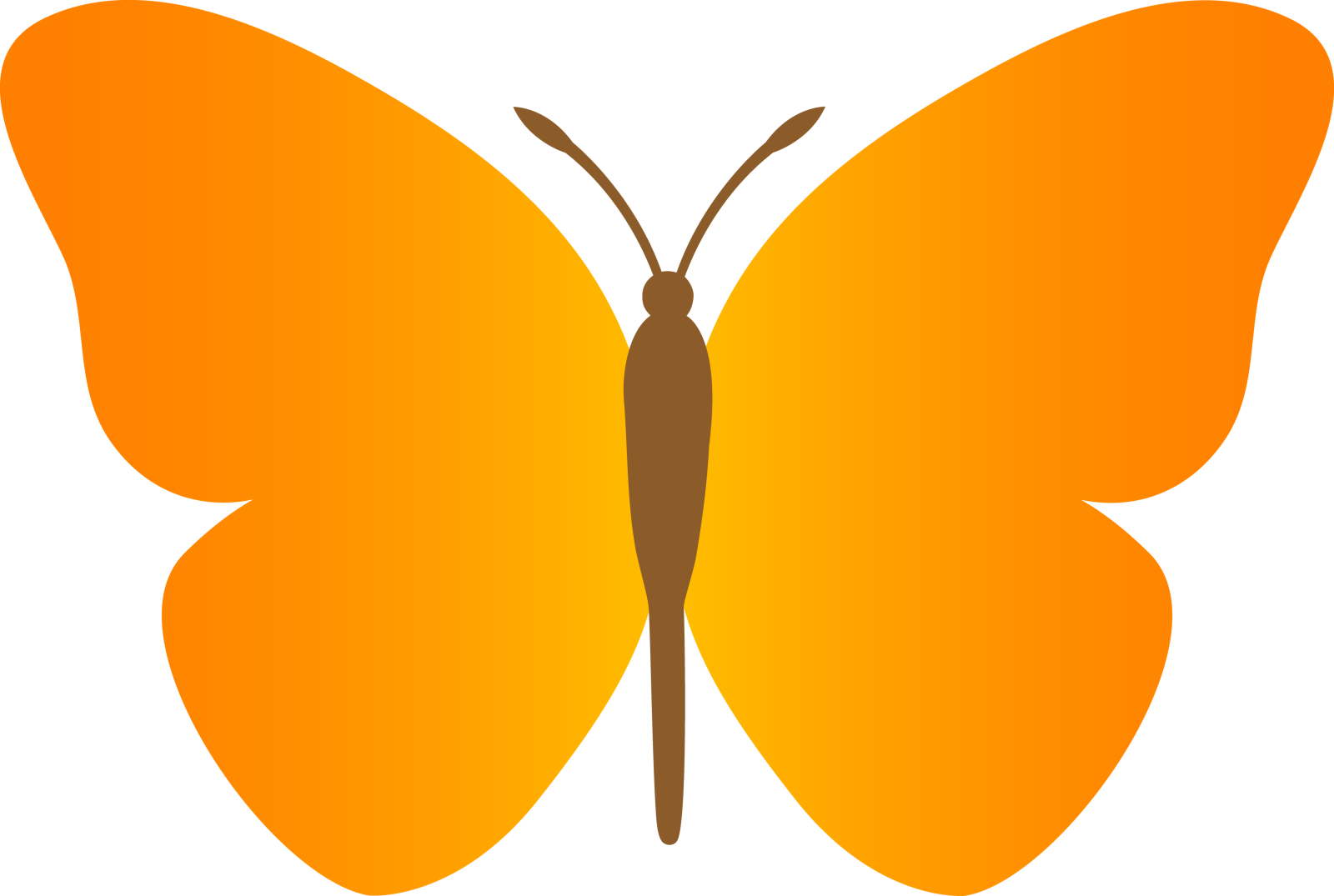 an orange butterfly on a white background