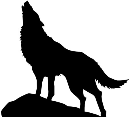 a wolf silhouetted on top of a rock