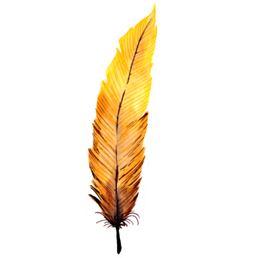 a yellow feather on a white background