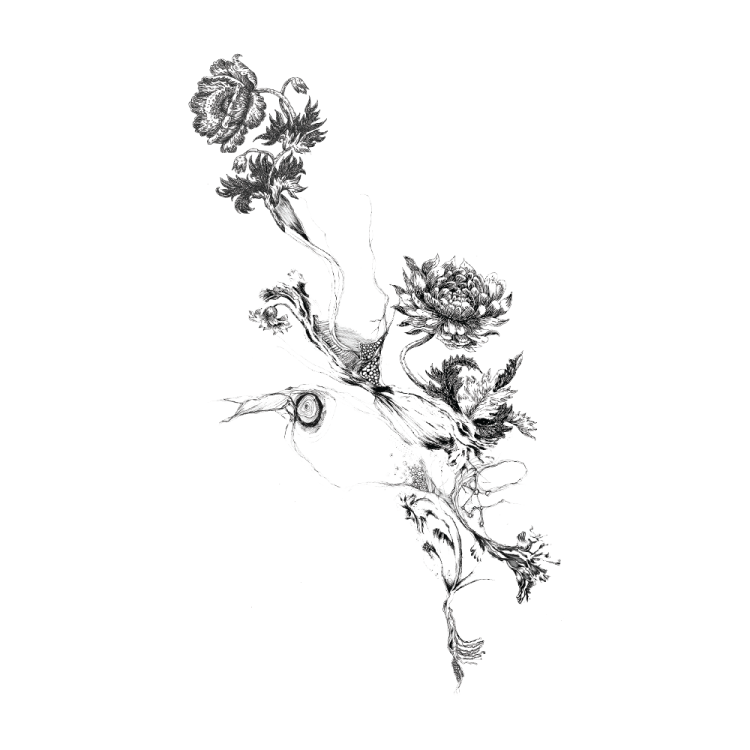 a drawing of flowers on a white background