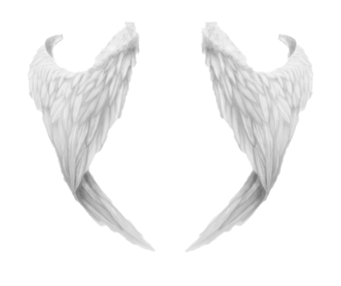 two white wings on a white background