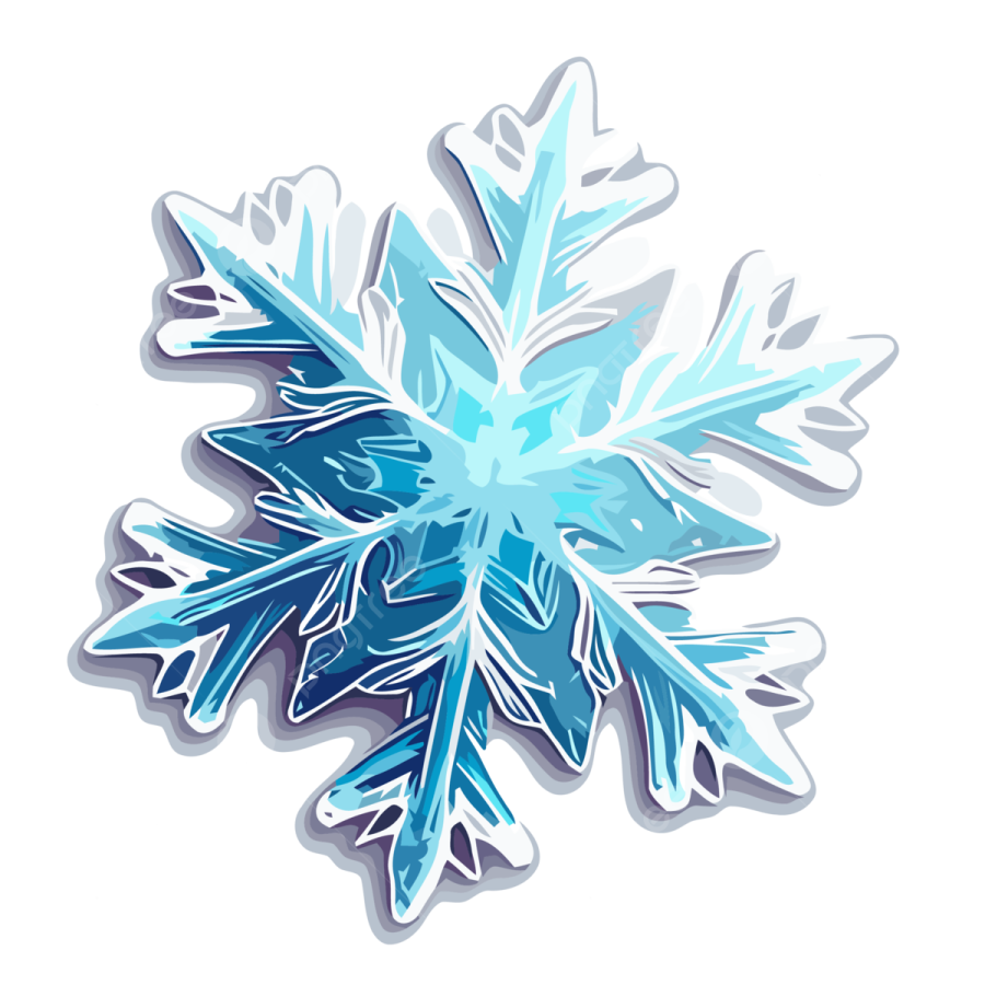 an illustration of a snowflorer