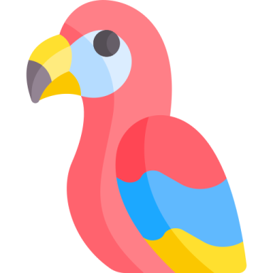 a colorful bird on a white background
