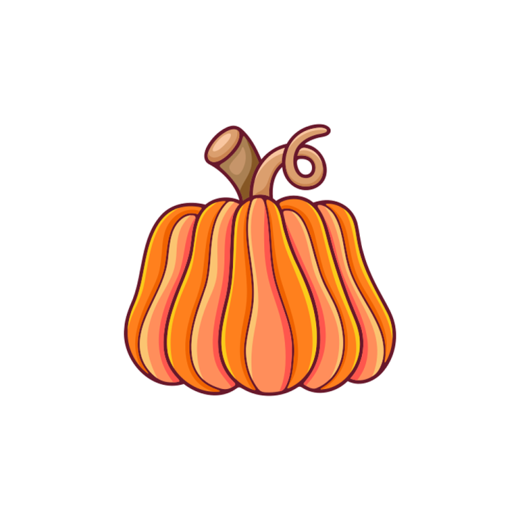 a small orange pumpkin on a white background