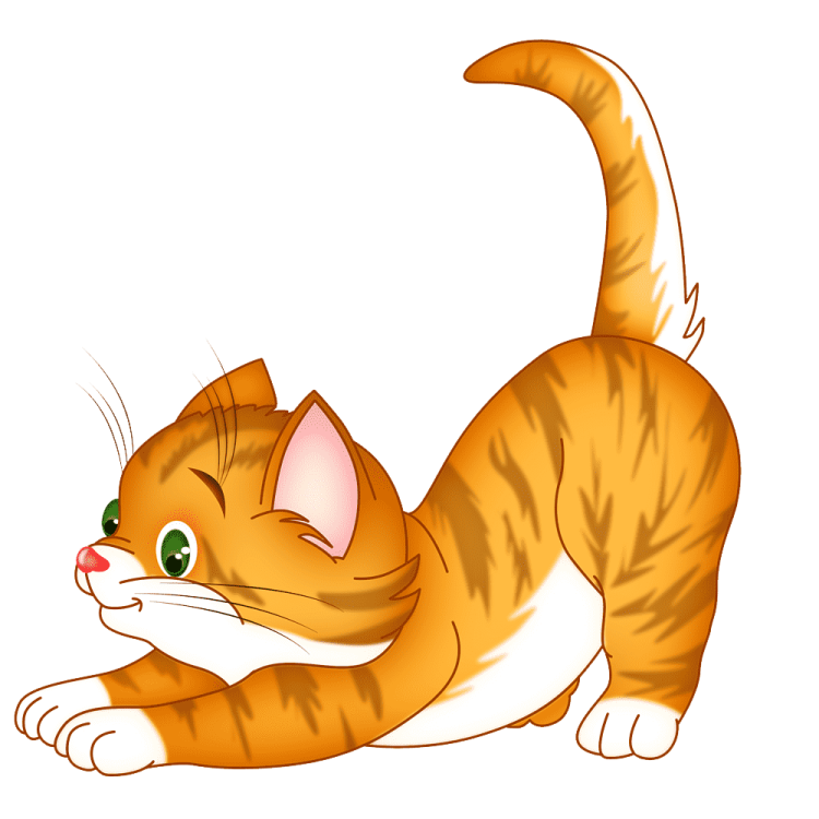 a cat with green eyes