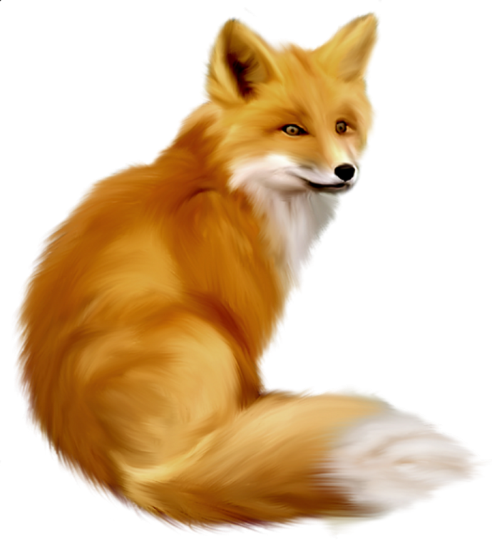 a drawing of a fox sitting down