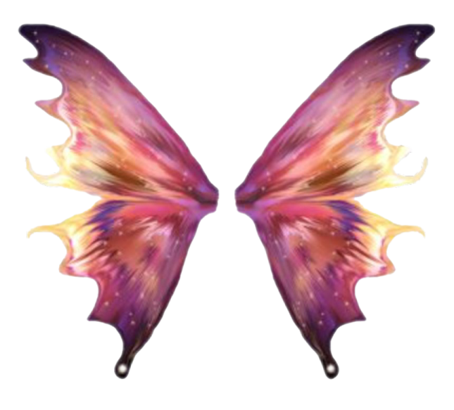 a colorful butterfly on a white background