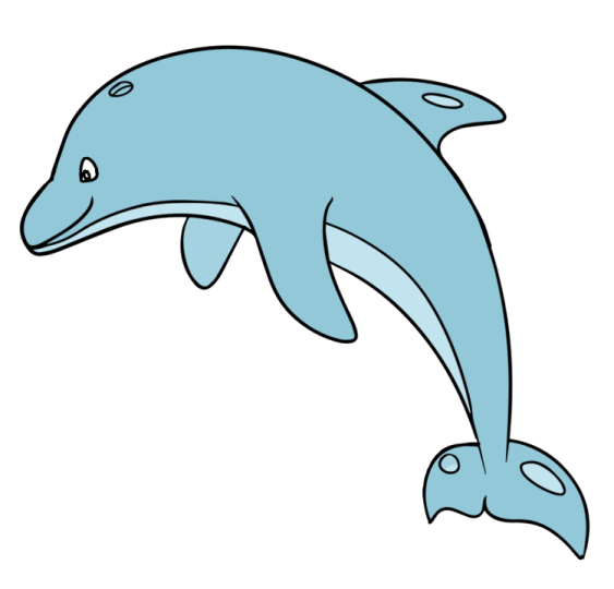 a dolphin with its mouth open