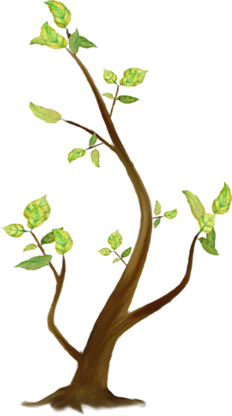 a drawing of a tree with leaves on it