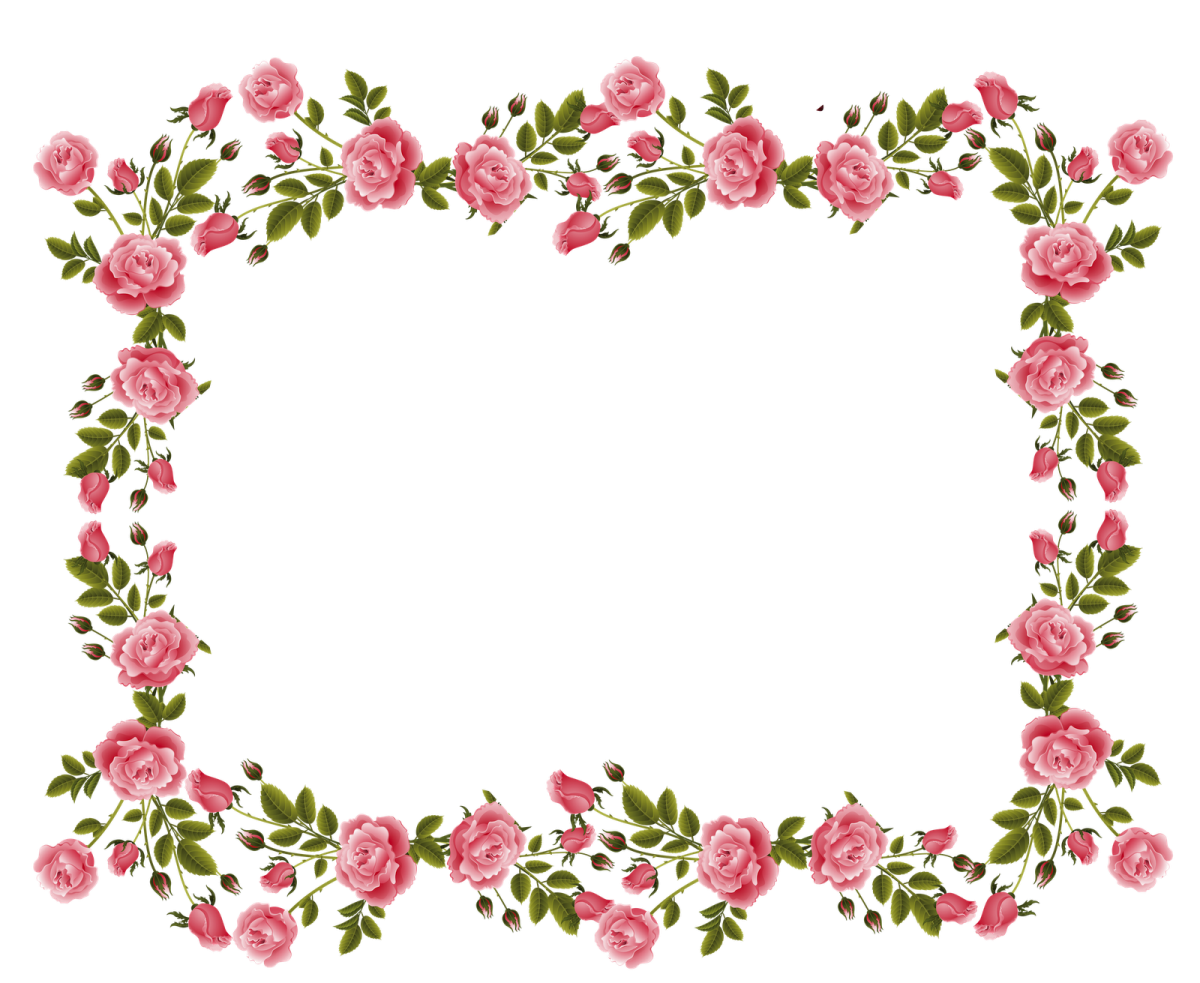 a pink rose border with green leaves
