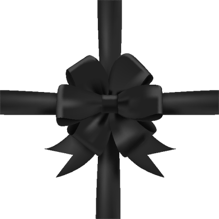 a black bow on a white background
